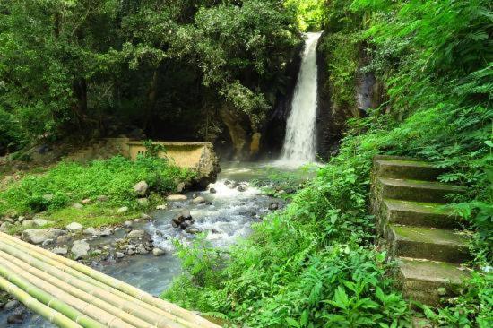 Andy'S Lodge Келимуту Экстерьер фото
